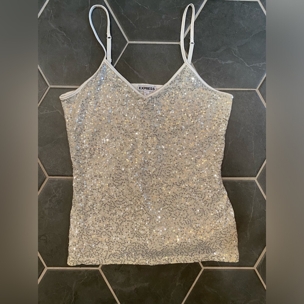 Express Sparkly Top